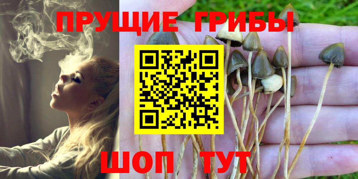 Галлюциногенные грибы мухоморы Трёхгорный