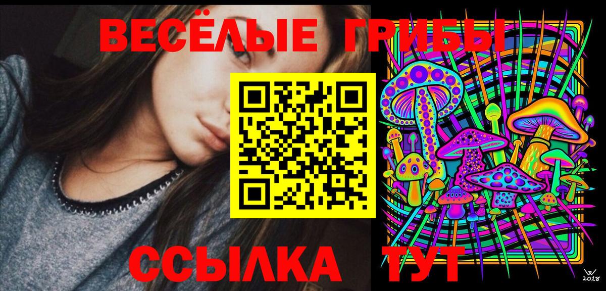 Галлюциногенные грибы Psilocybine cubensis  Вход с VPN  Трёхгорный 